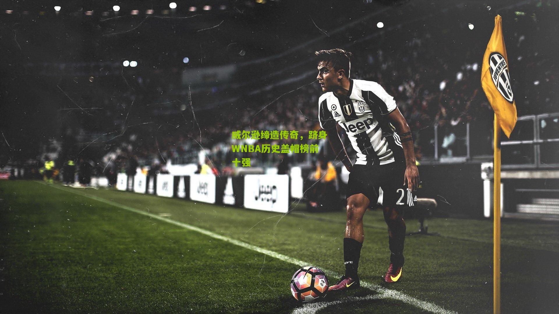 熊猫体育官网：威尔逊缔造传奇，跻身WNBA历史盖帽榜前十强