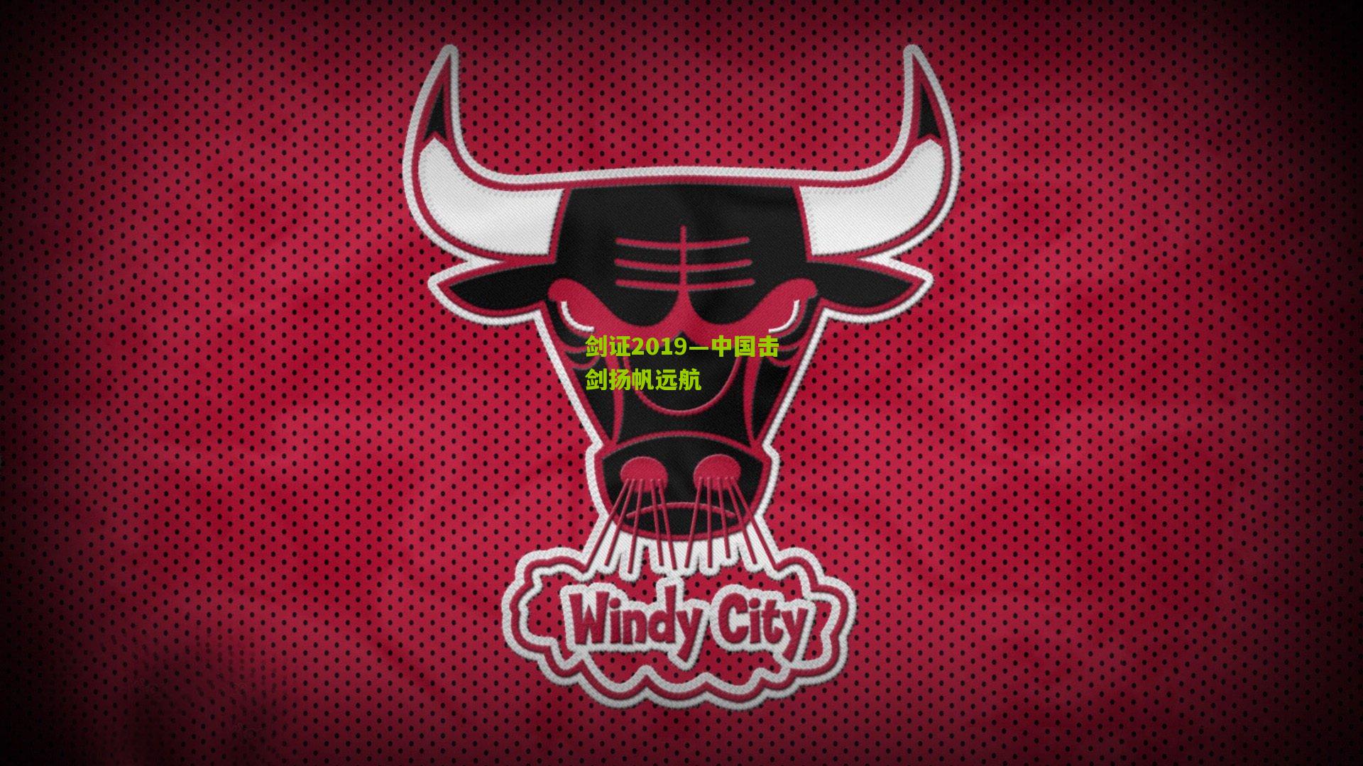 熊猫体育：剑证2019—中国击剑扬帆远航