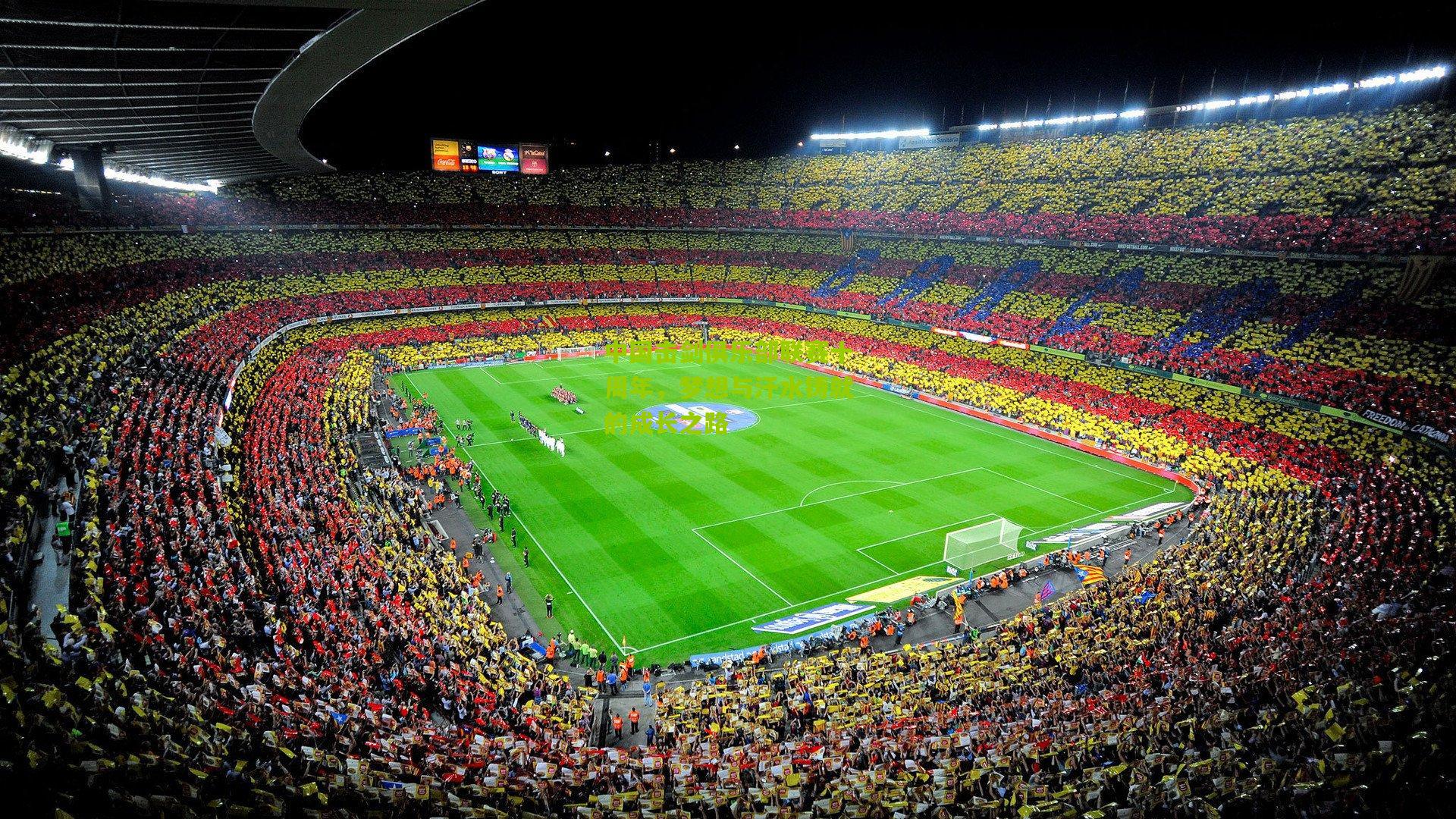 【熊猫体育平台】中国击剑俱乐部联赛十周年，梦想与汗水铸就的成长之路