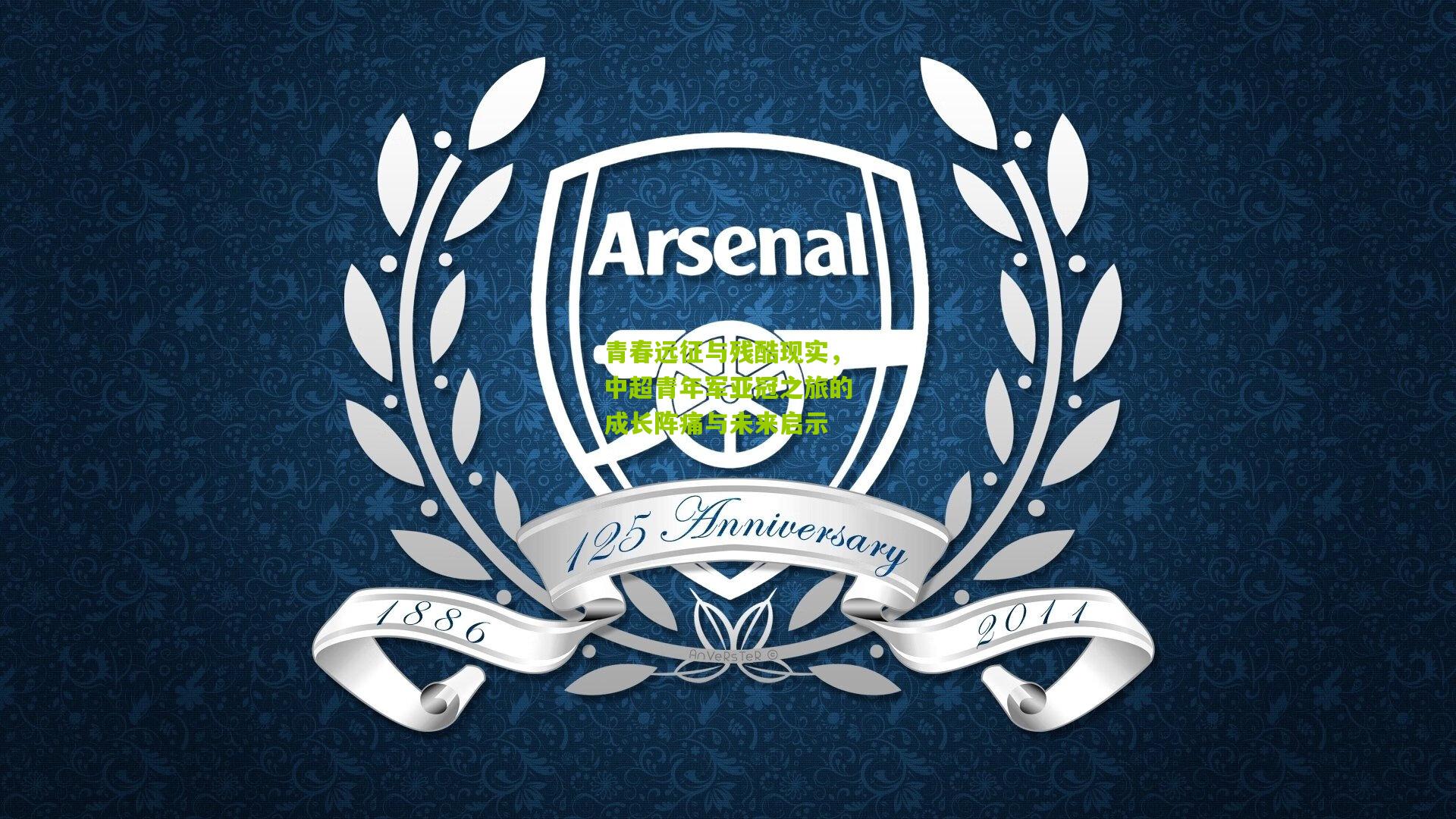 青春远征与残酷现实，中超青年军亚冠之旅的成长阵痛与未来启示