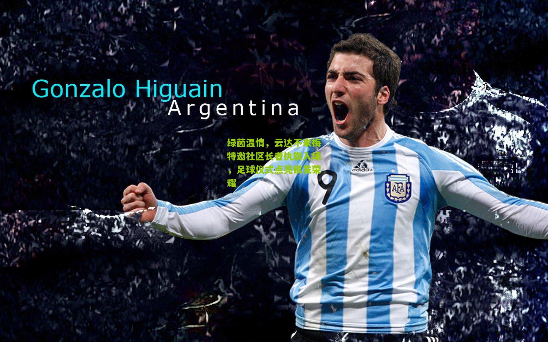 熊猫体育官网|绿茵温情，云达不来梅特邀社区长者执旗入场，足球仪式点亮银发荣耀